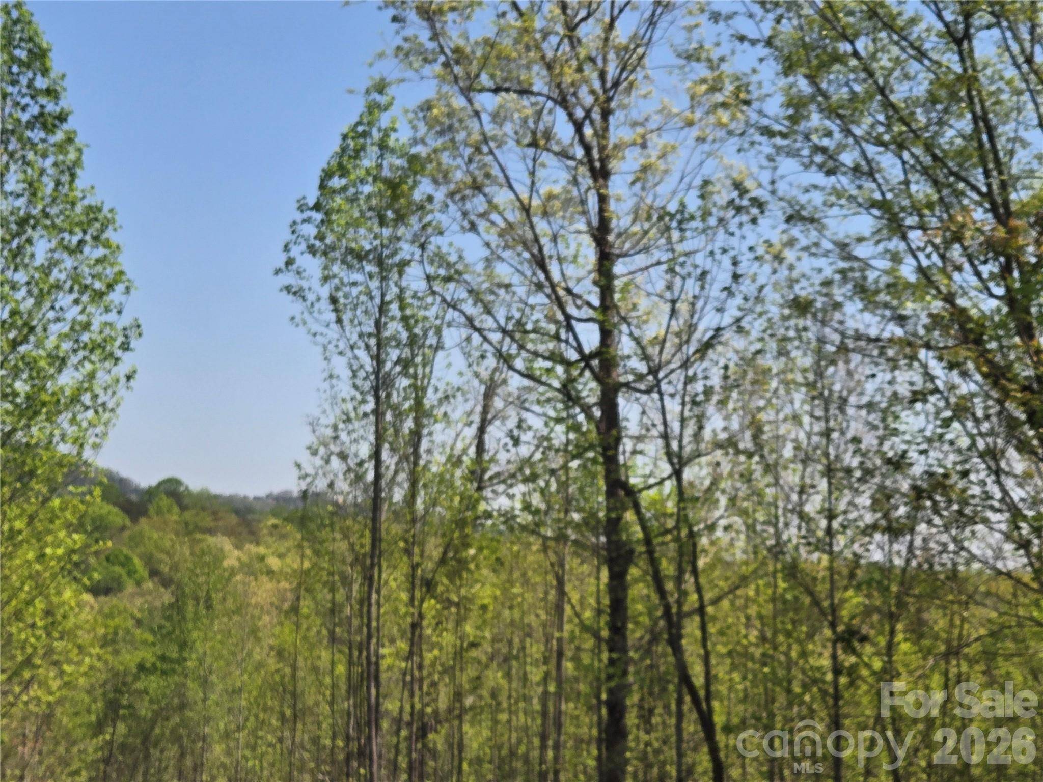Lot 20 Touch Me Not TRL, Lake Lure, NC 28746