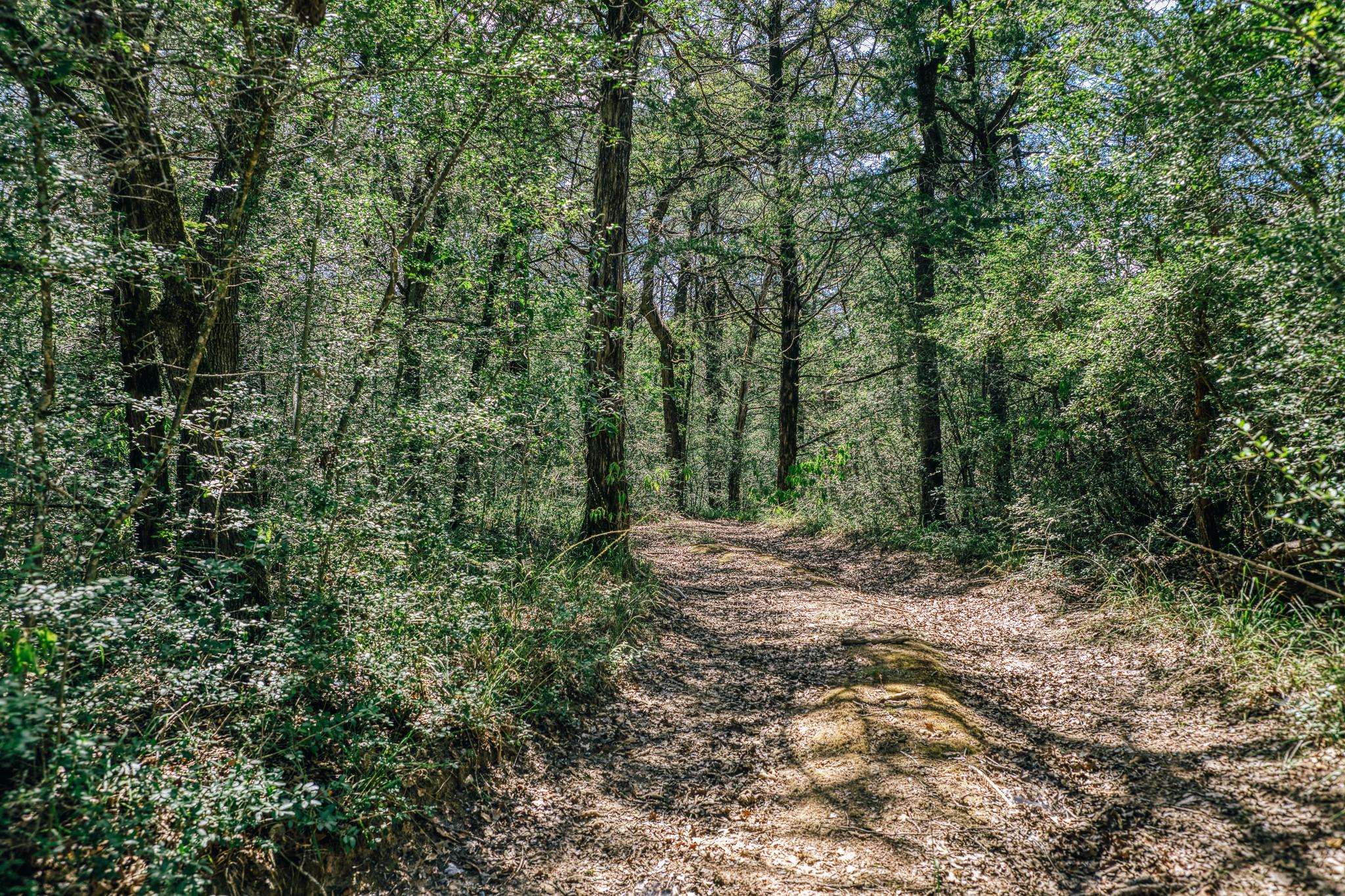 9713 County Road 316, Caldwell, TX 77836