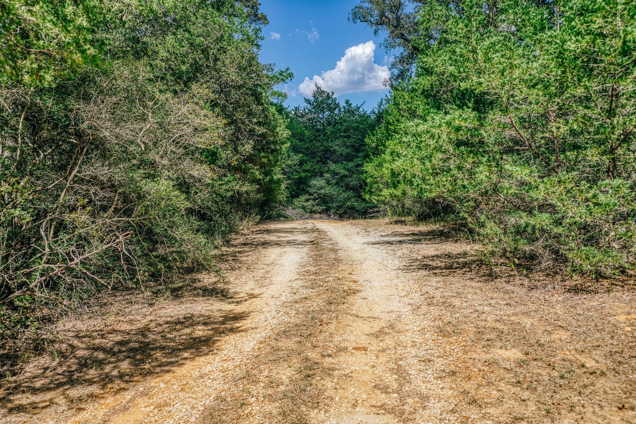 9713 County Road 316, Caldwell, TX 77836