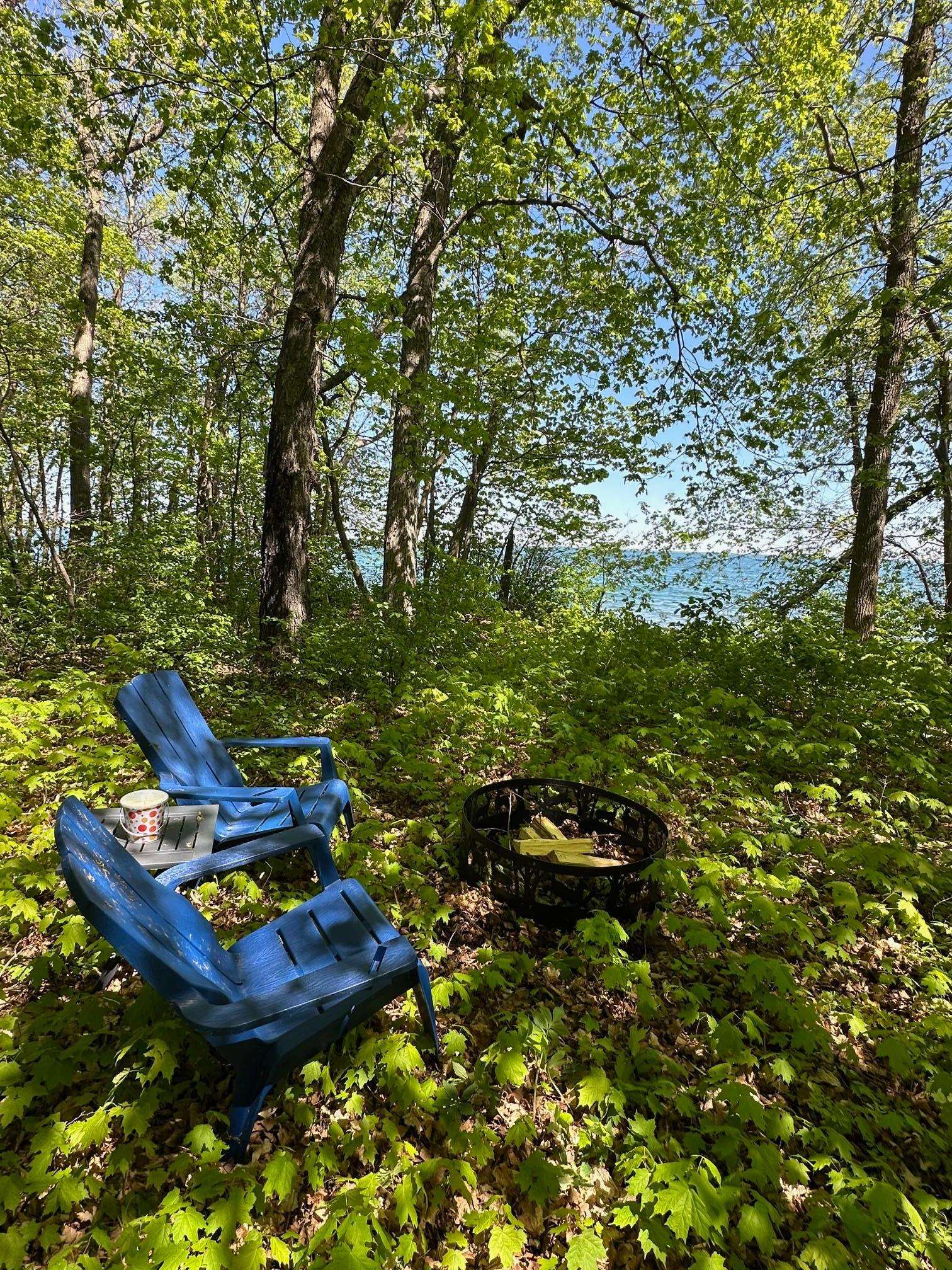 TBD Ottertail Point DR NW, Cass Lake, MN 56633
