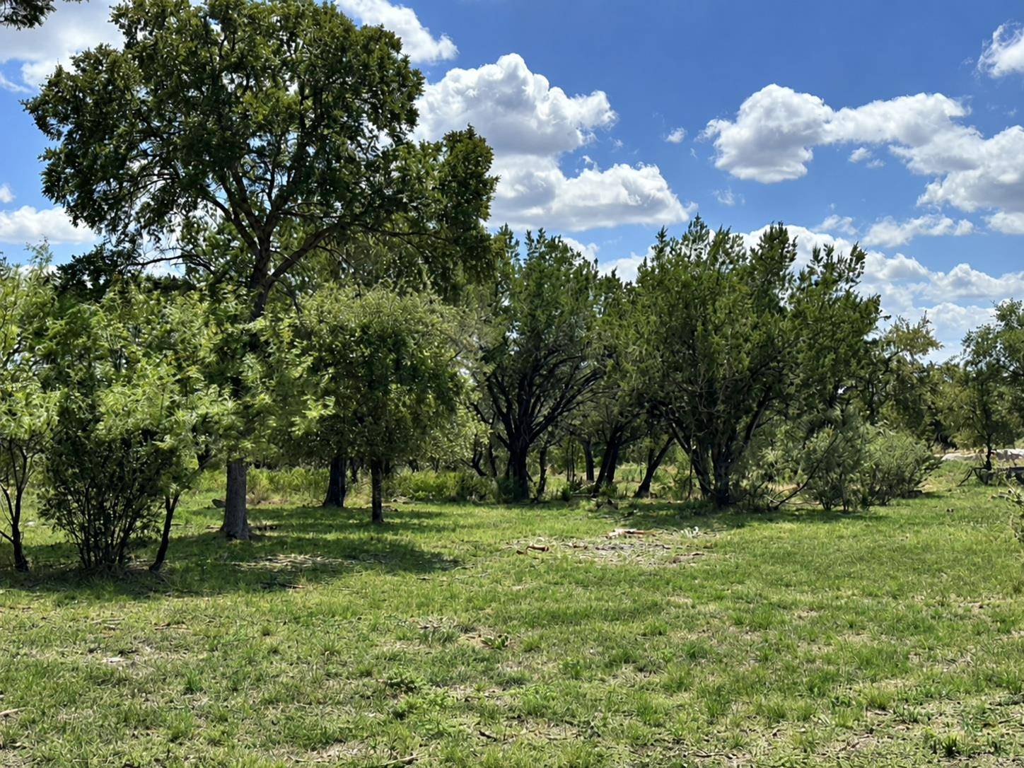 Lot 53 Park View DR, Marble Falls, TX 78654