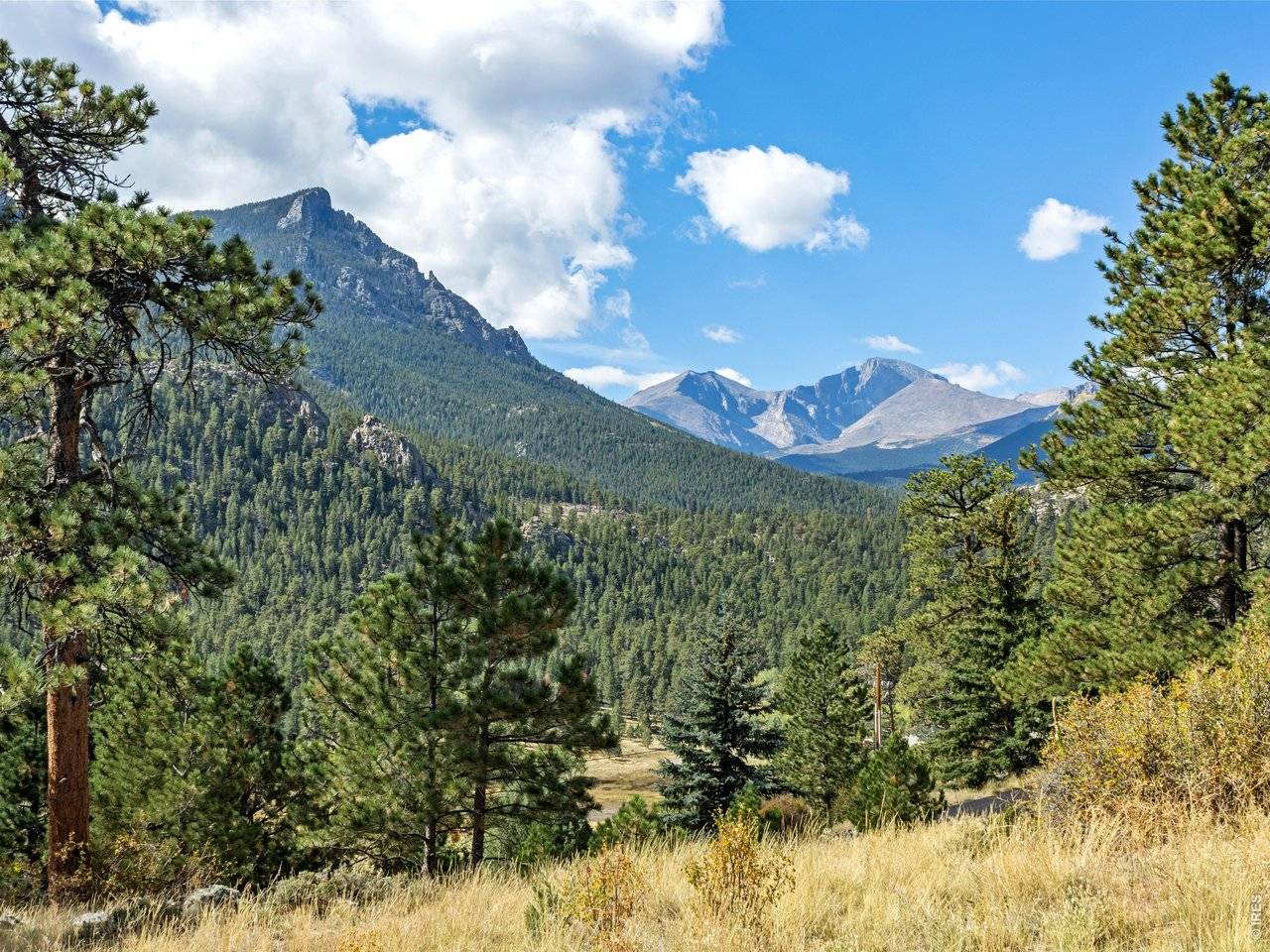 3441 Saint Francis, Estes Park, CO 80517