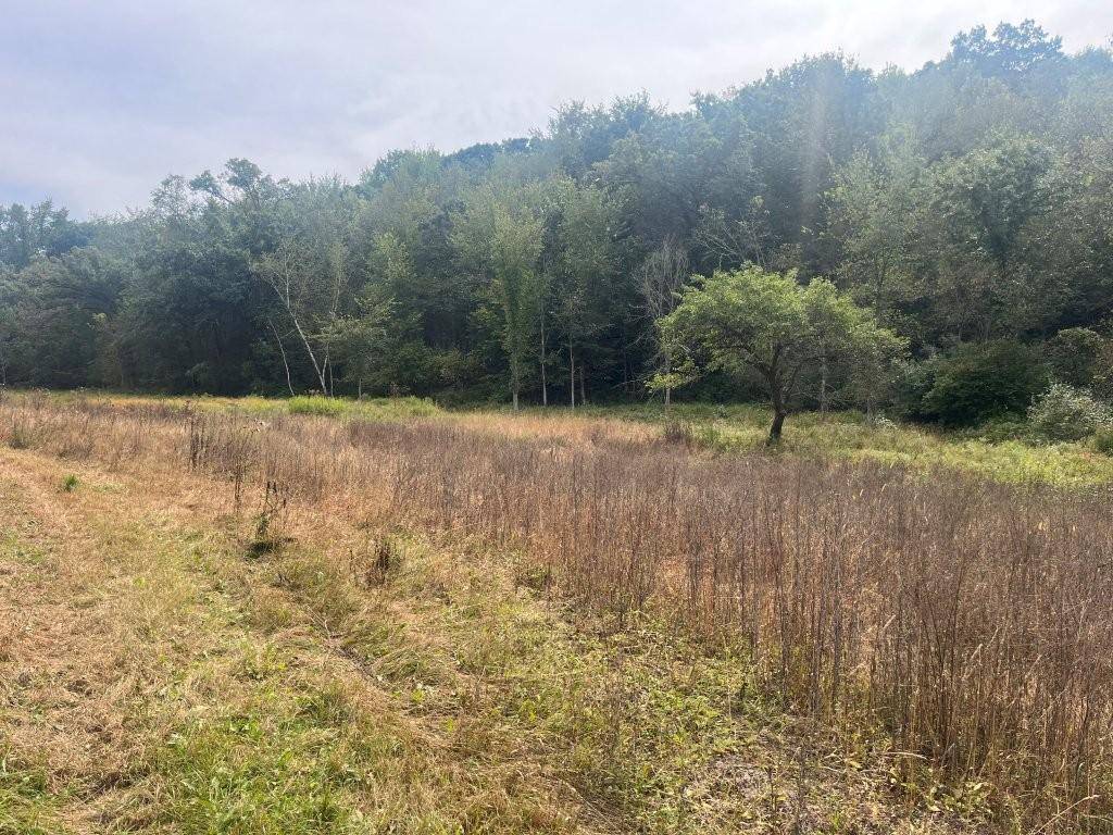 TBD Claire Rd, Taylor, WI 54659