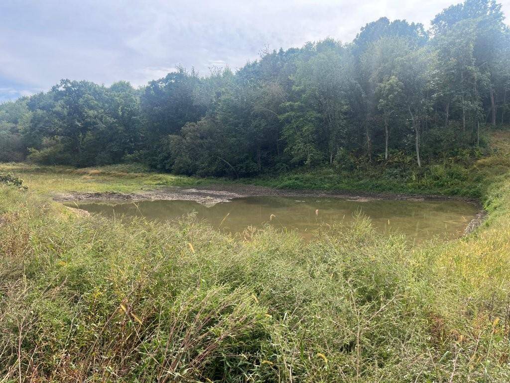 TBD Claire Rd, Taylor, WI 54659