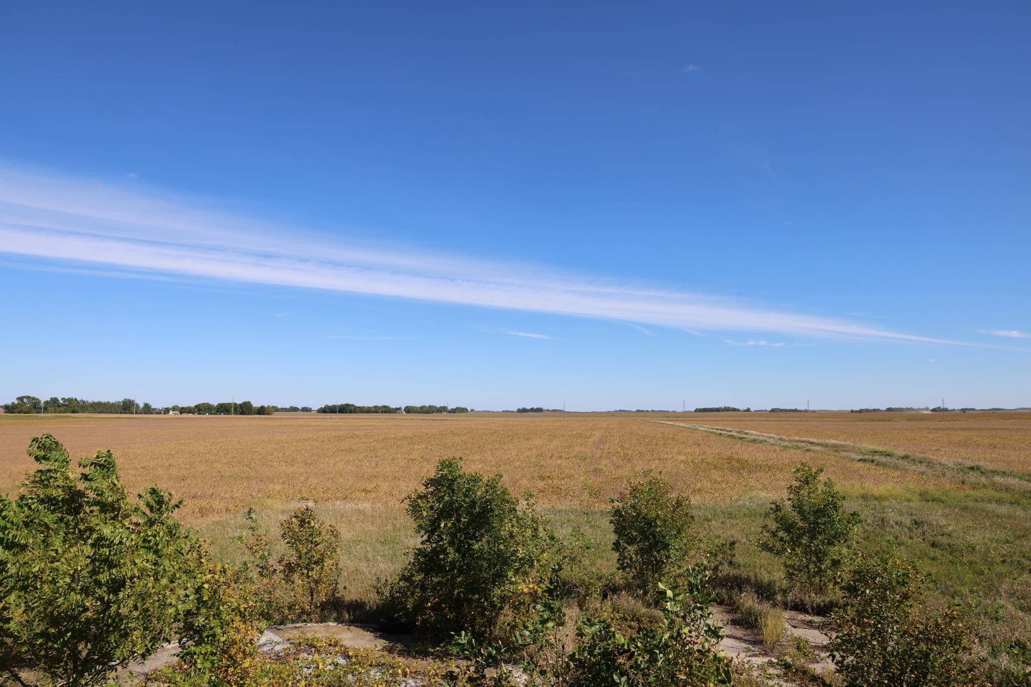 81893 470th ST, Hector, MN 55342
