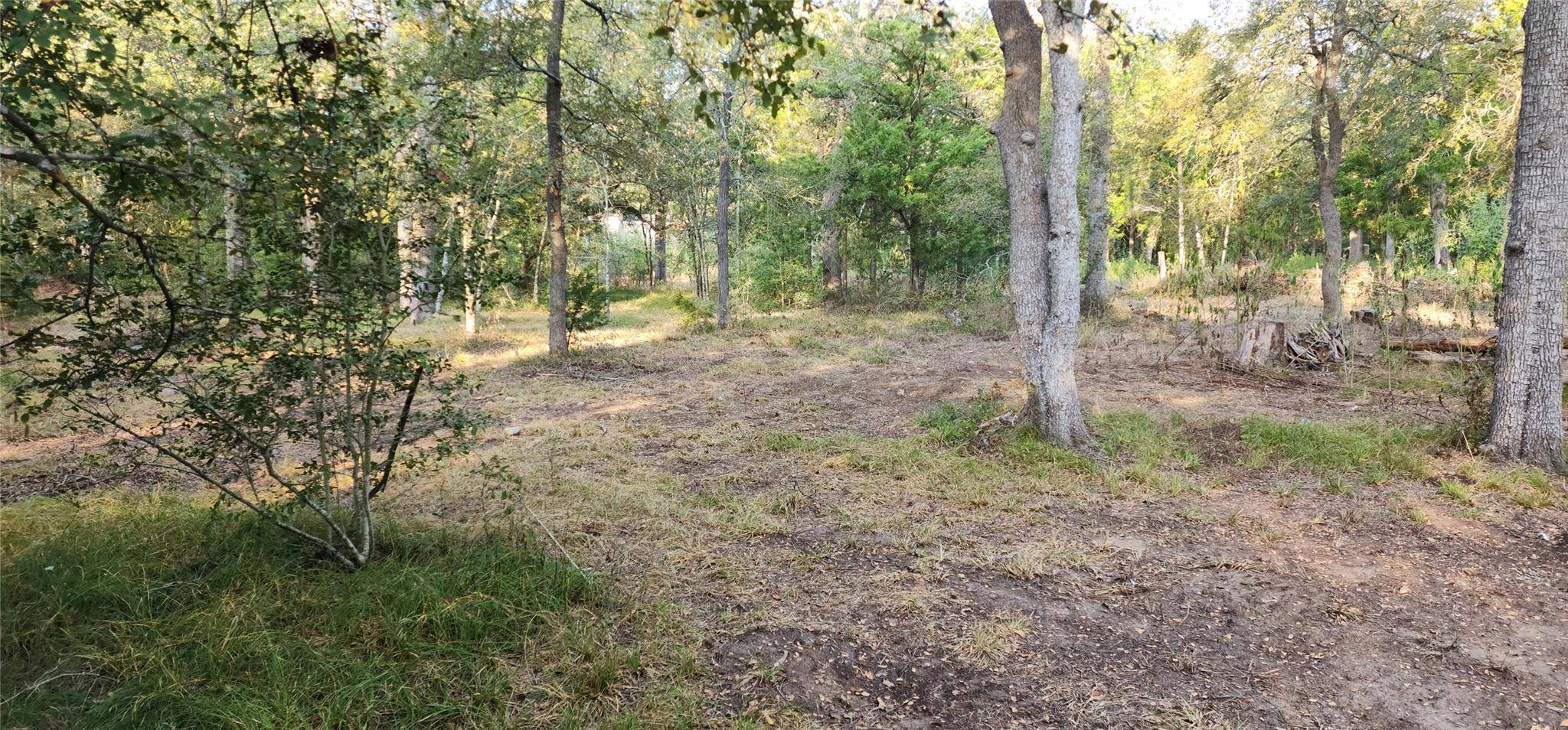 194 Fm 2104, Smithville, TX 78957