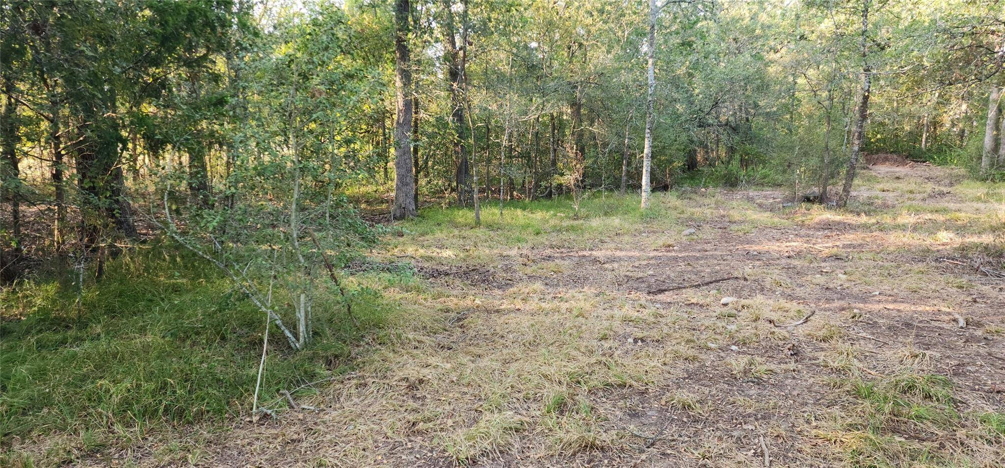 194 Fm 2104, Smithville, TX 78957