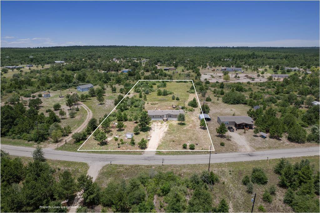 178 Ponderosa LOOP, Paige, TX 78659