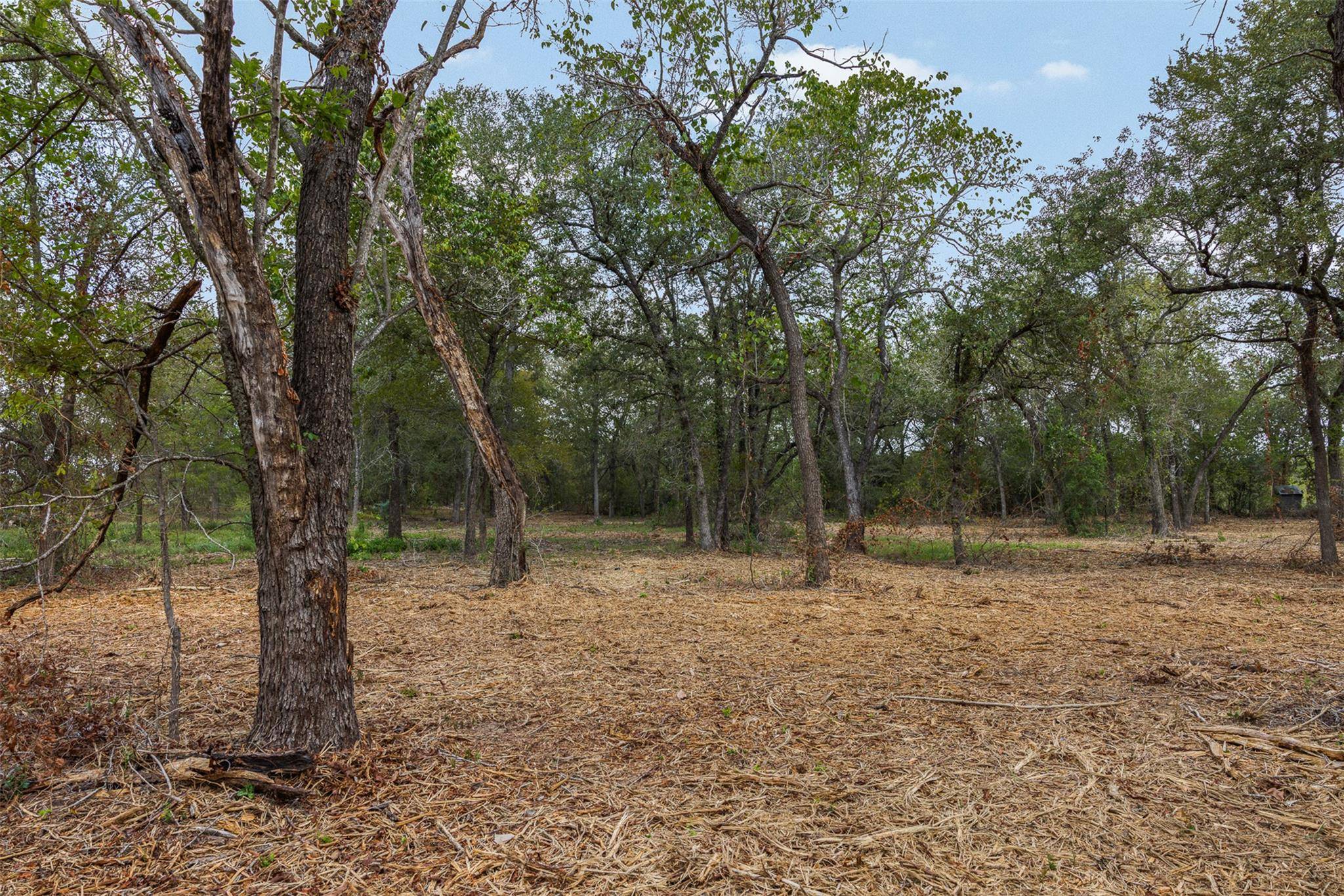 Lot 1 CR 491, Elgin, TX 78621