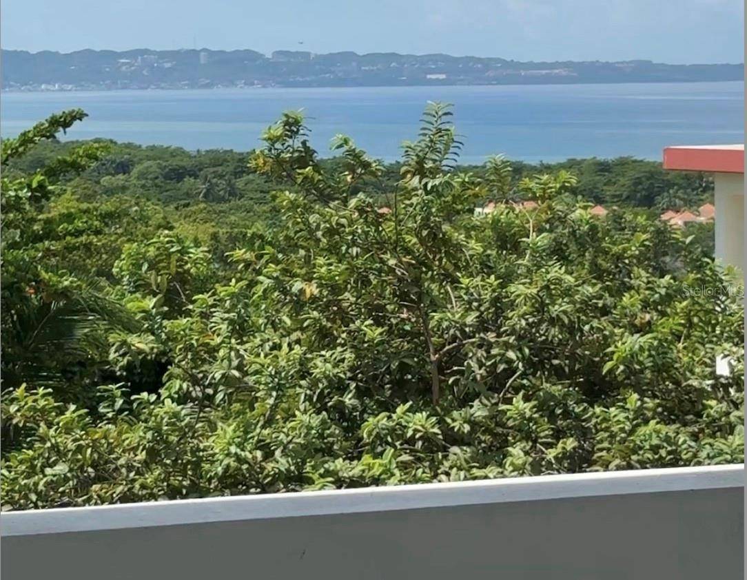 PR-413 Km 4.7 Int CALLE MIRAMAR BO PUNTAS, Rincon, PR 00677