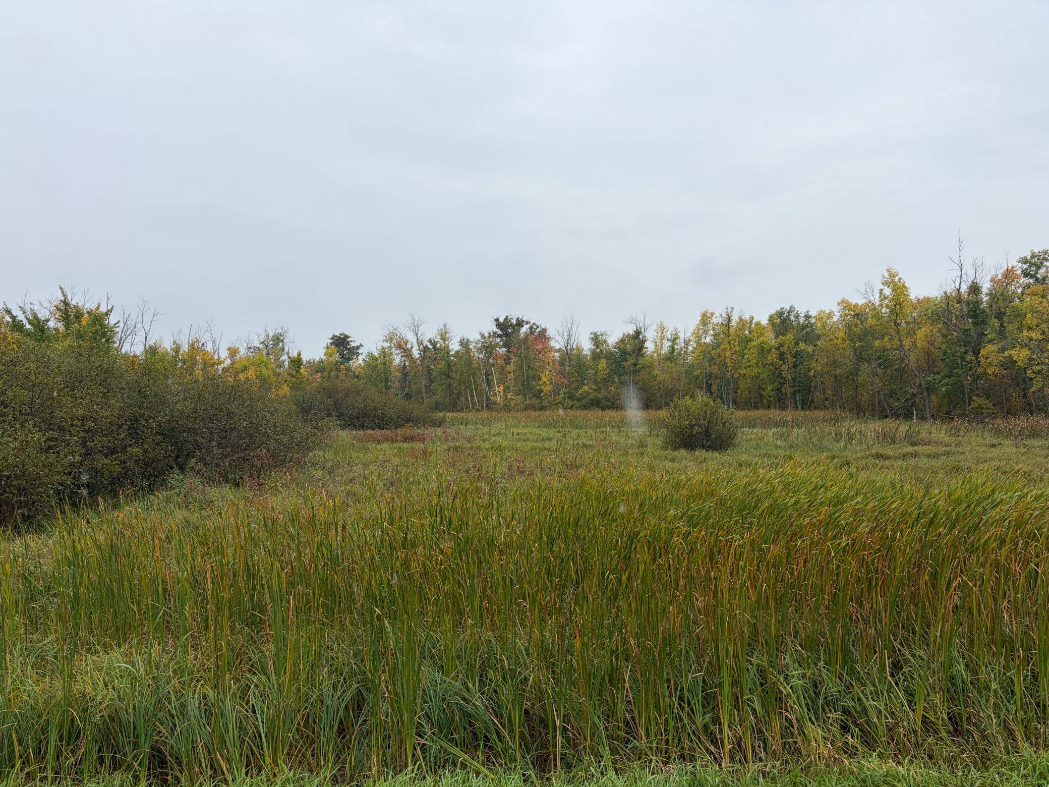 XXX Stevens RD, Onamia, MN 56359