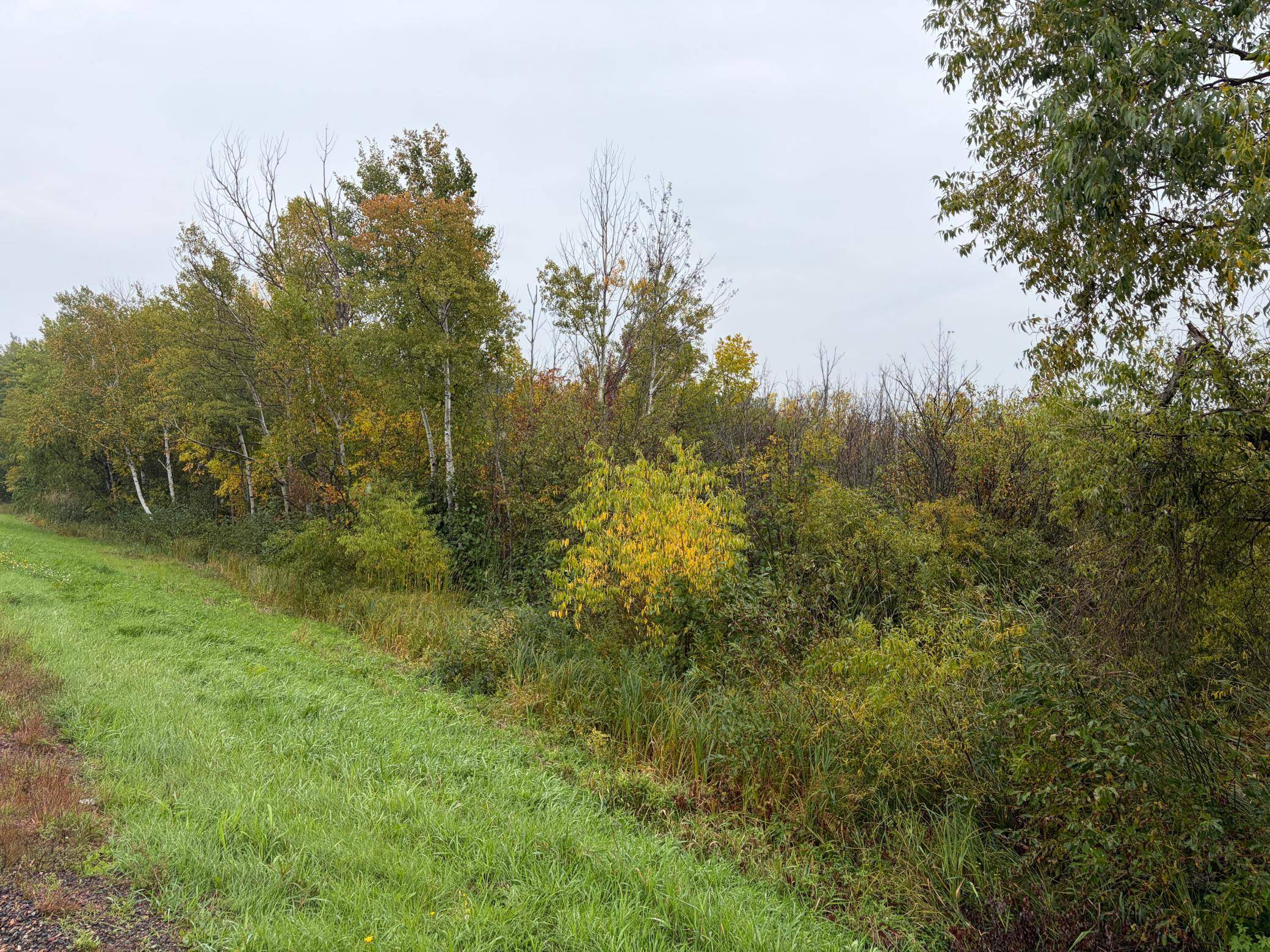 XXX Stevens RD, Onamia, MN 56359
