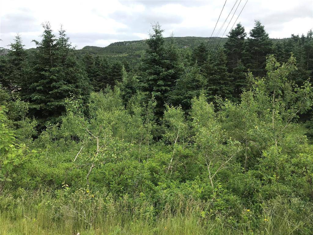 0 Snows Lane Road, North River, NL A0A 3C0