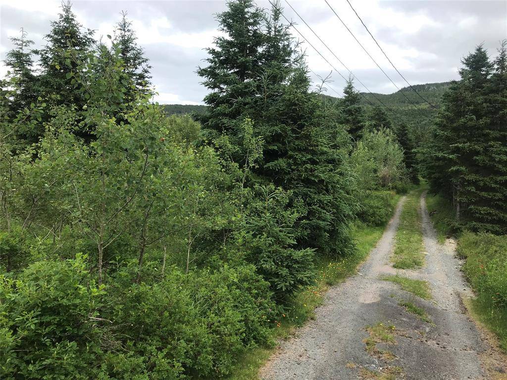 0 Snows Lane Road, North River, NL A0A 3C0