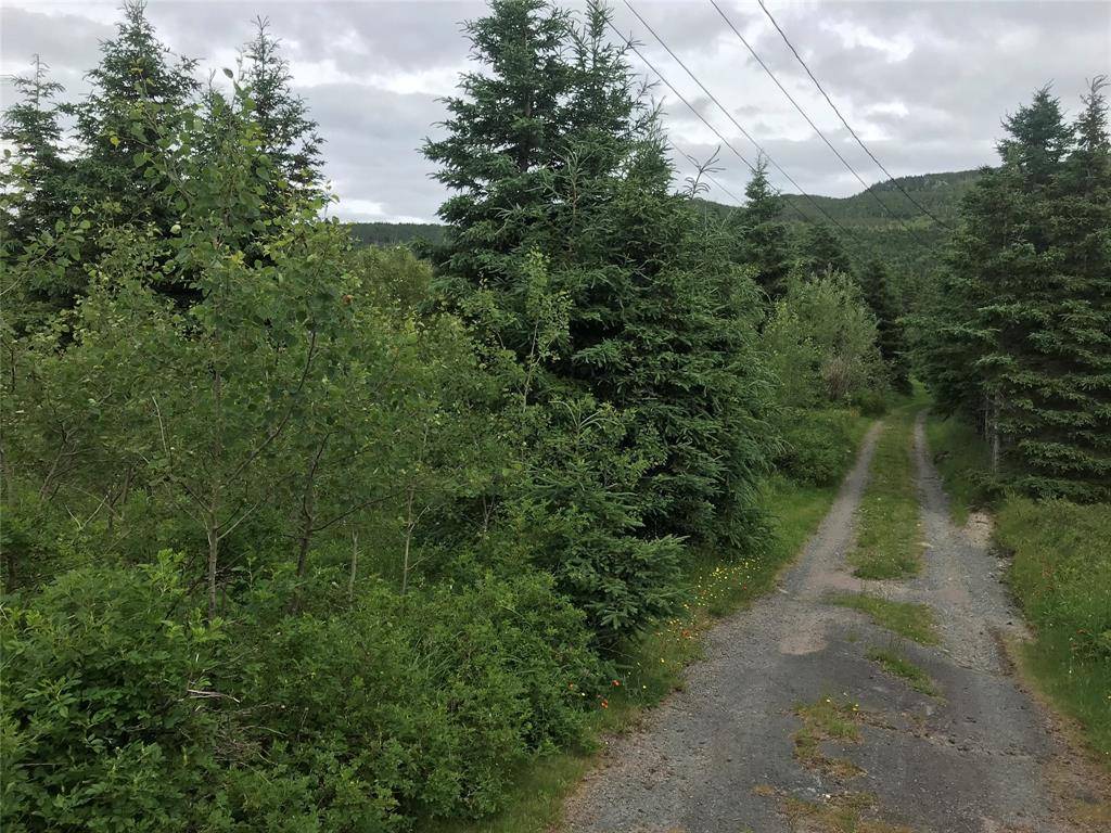 0 Snows Lane Road, North River, NL A0A 3C0