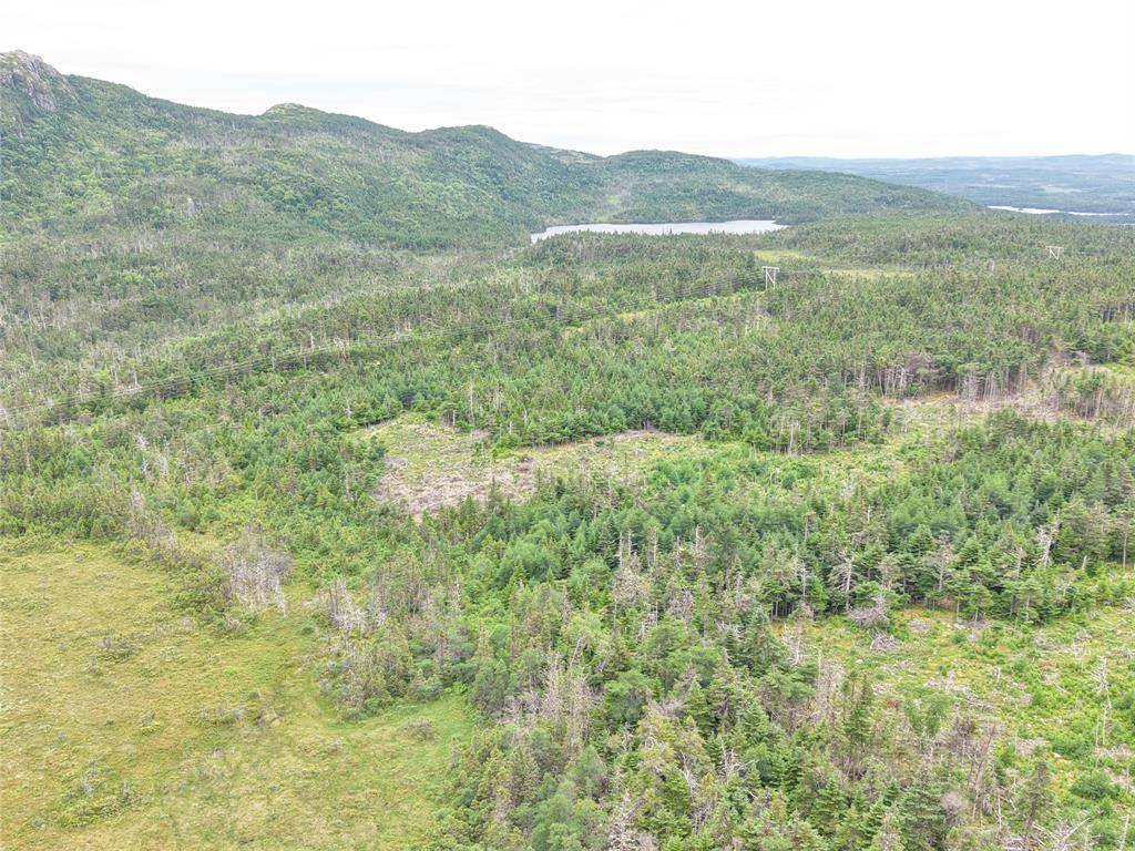 Lot B Butlers Road, Holyrood, NL A0A 2R0