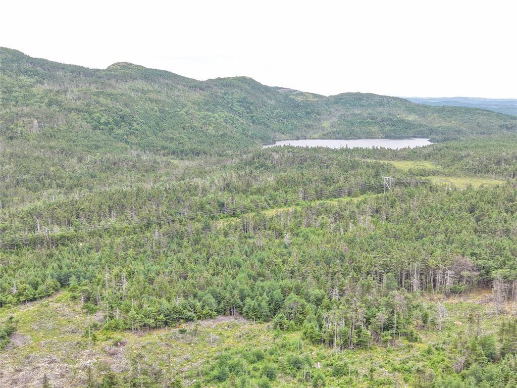 Lot B Butlers Road, Holyrood, NL A0A 2R0