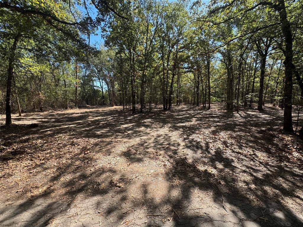 179 RS County Road 2572, Alba, TX 75410