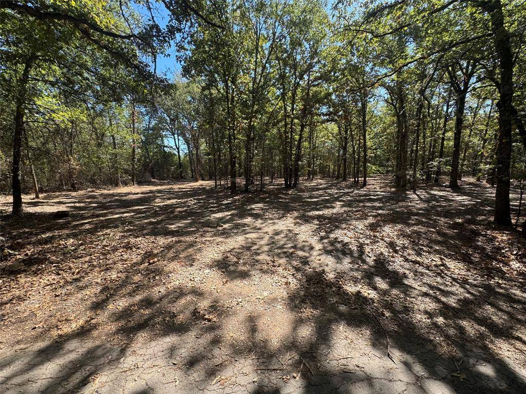 179 RS County Road 2572, Alba, TX 75410