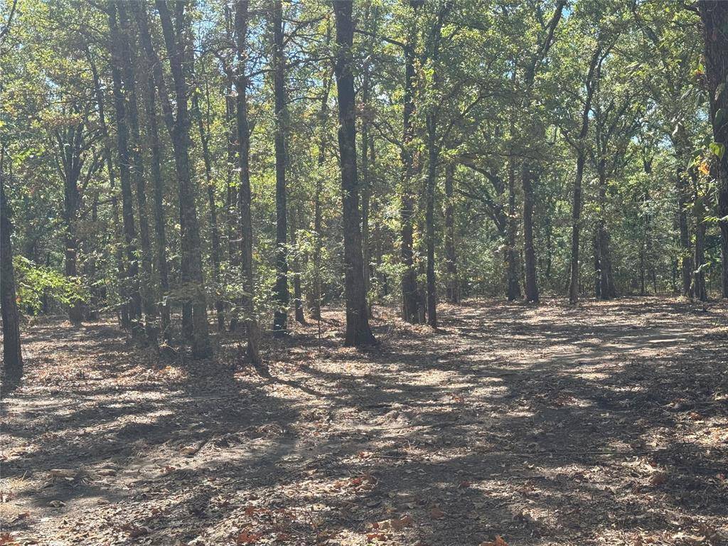 179 RS County Road 2572, Alba, TX 75410