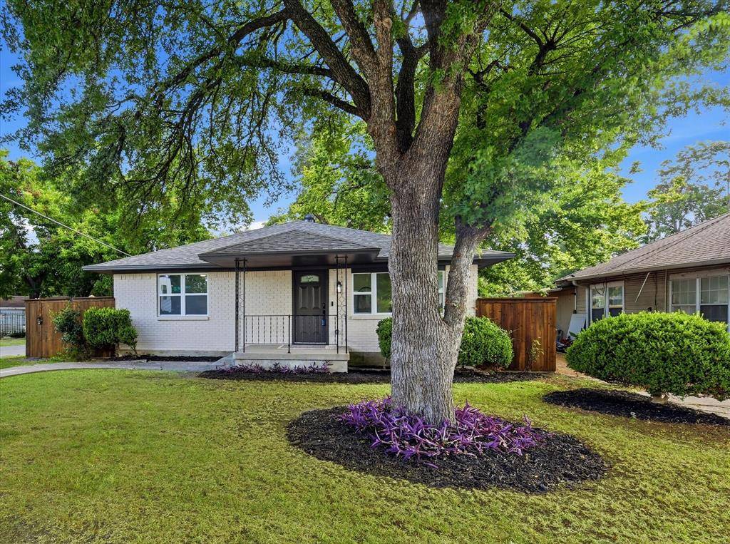 523 Martinique Avenue, Dallas, TX 75223