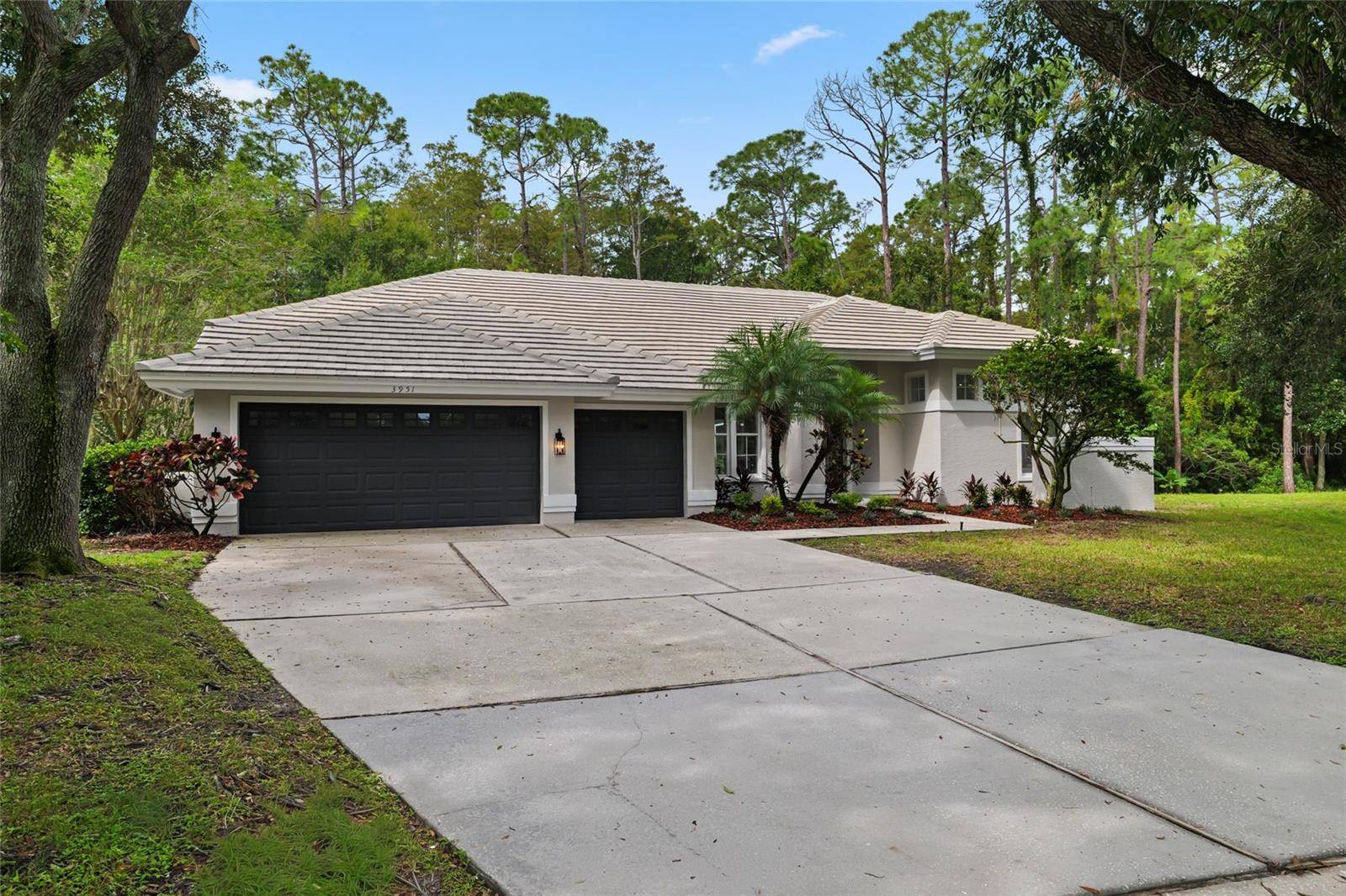 3951 BRIGHTSIDE LN, Palm Harbor, FL 34685
