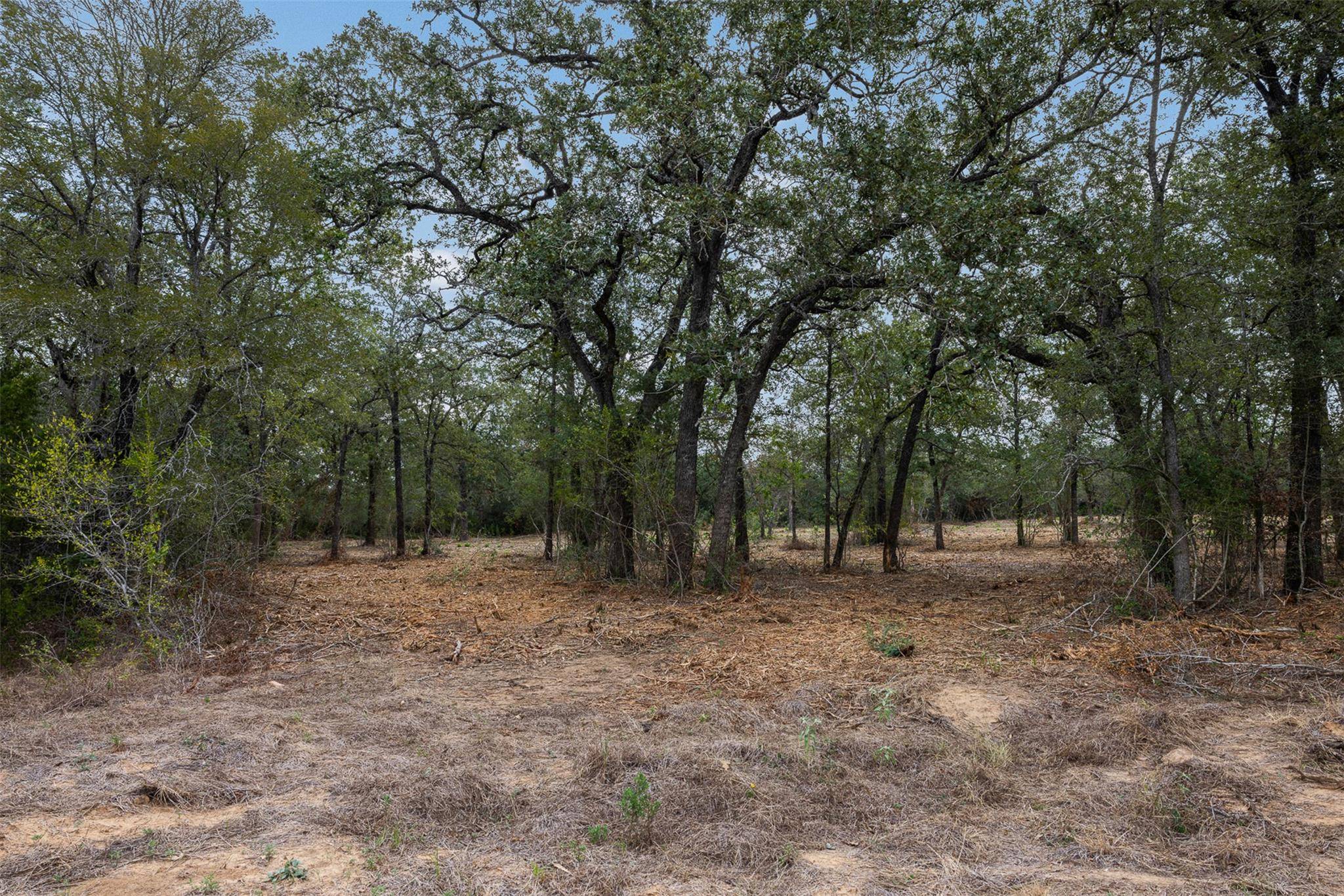 Lot 3 CR 491, Elgin, TX 78621