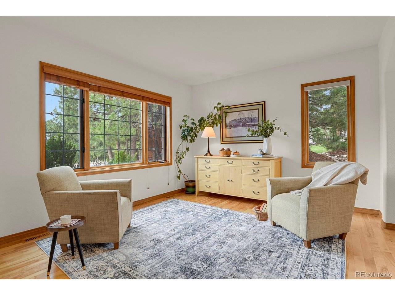 6236 Riviera, Parker, CO 80134