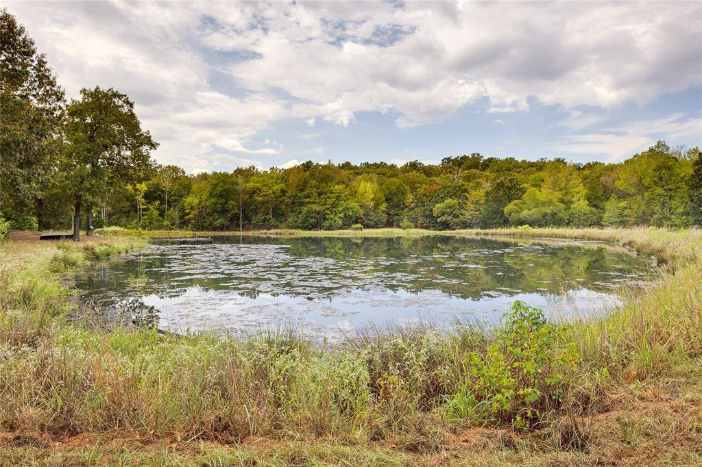 1522 Fm 17, Grand Saline, TX 75140