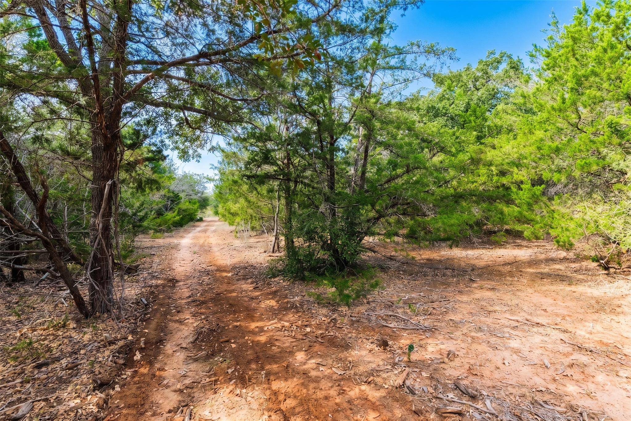 12 Acres Mt. Pleasant, Cedar Creek, TX 78612