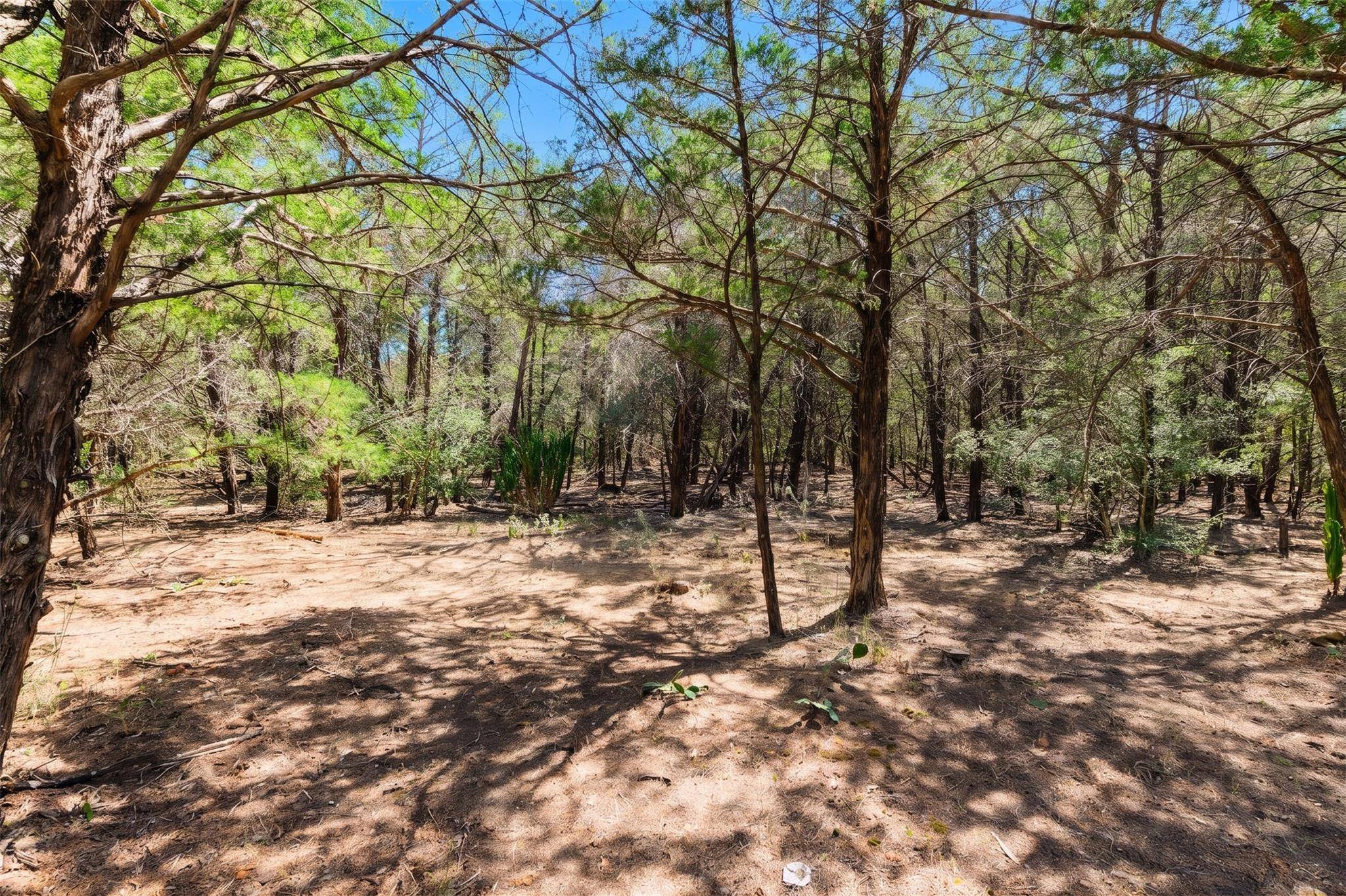 12 Acres Mt. Pleasant, Cedar Creek, TX 78612