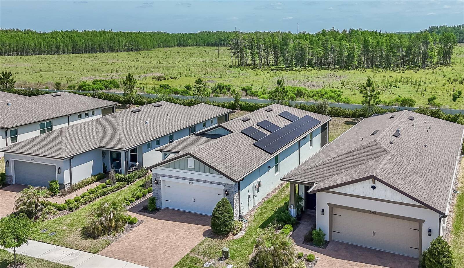 5981 SHOREBIRD BR, Land O Lakes, FL 34638