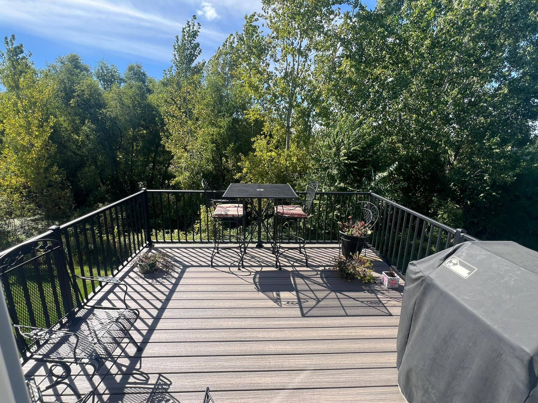 1007 Alexander CT, Montrose, MN 55363