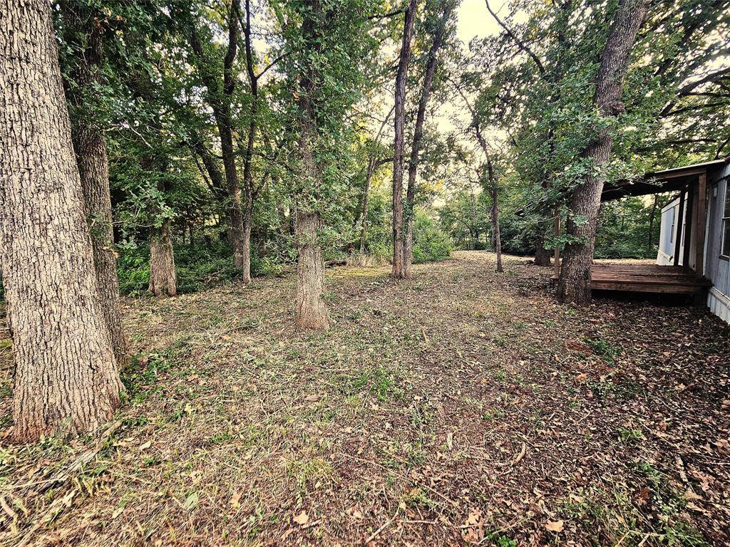 109 PR 5881A, Jewett, TX 75846