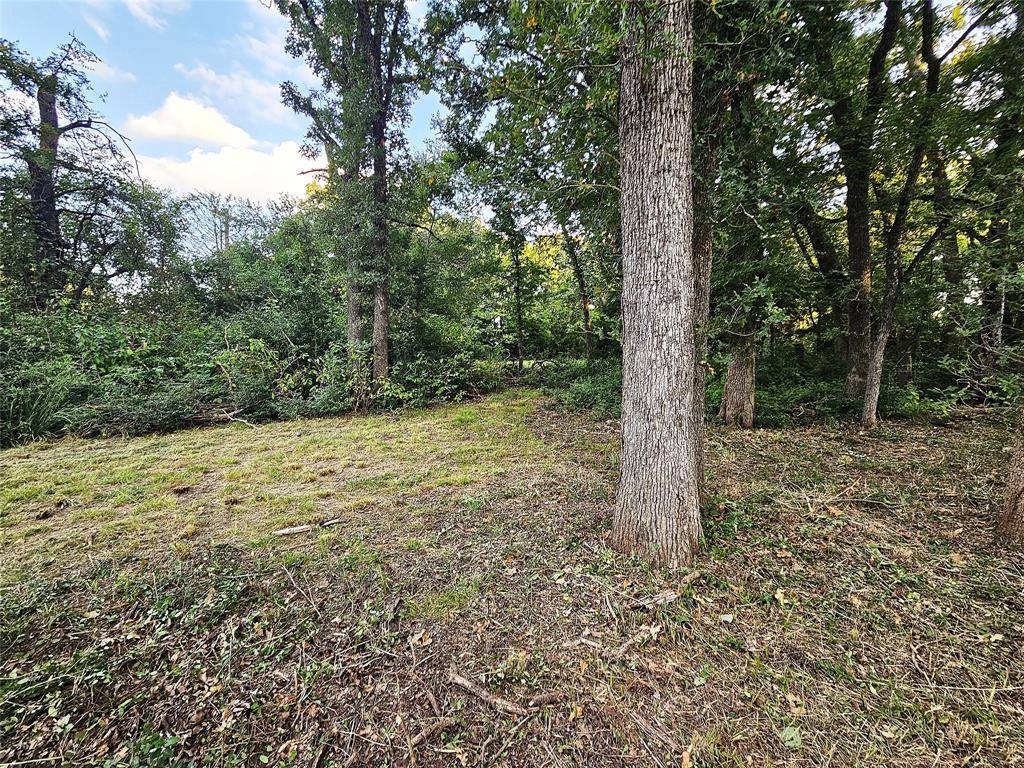 109 PR 5881A, Jewett, TX 75846
