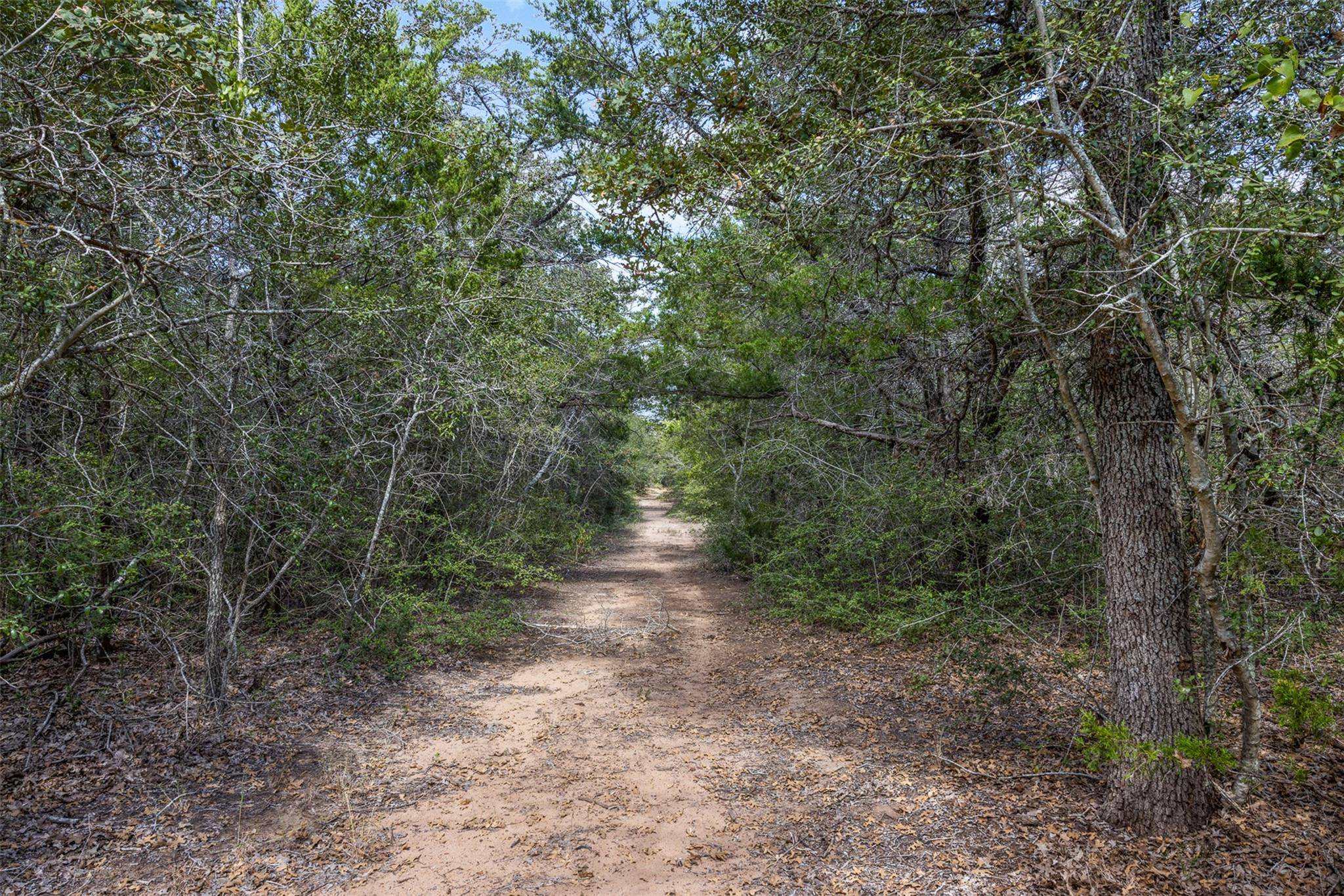 2025 Mule Creek RD, Harwood, TX 78632