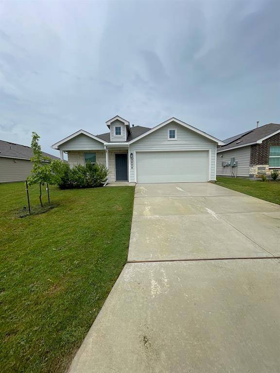 3008 Shore Lark, New Braunfels, TX 78130