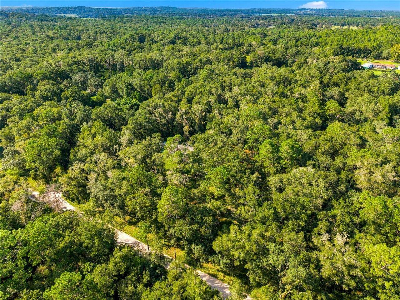 24403 MCCAW RD, Brooksville, FL 34601