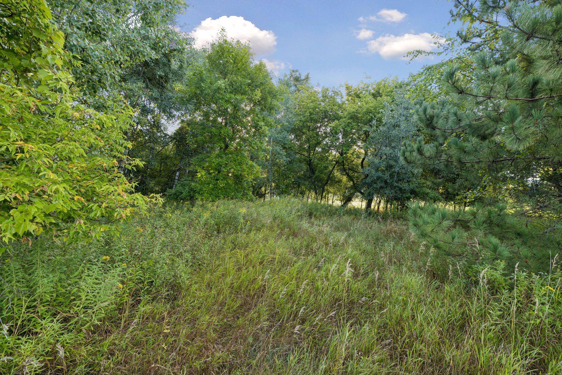 193XX N Newgate AVE, Marine On Saint Croix, MN 55047