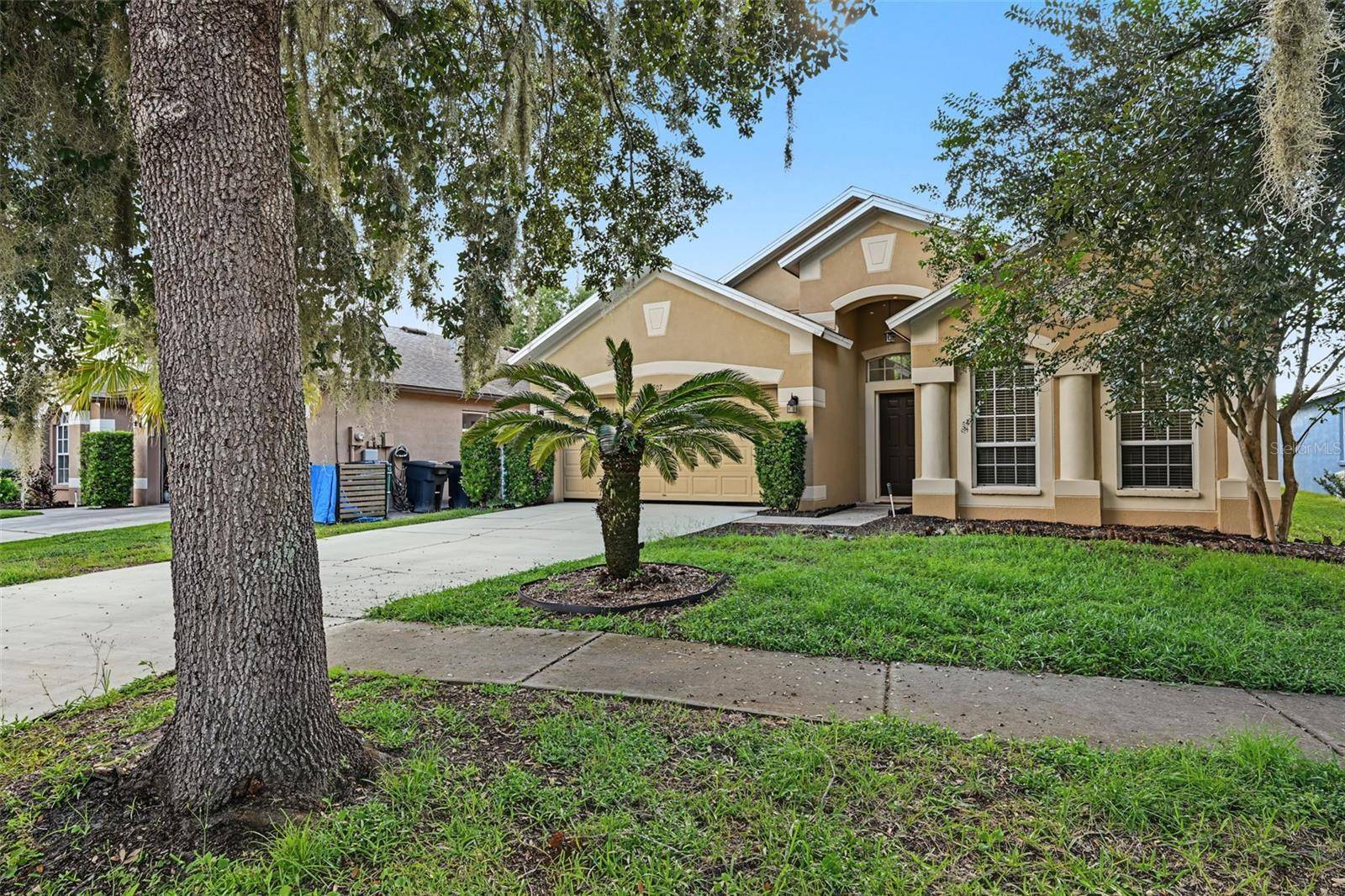 3907 LOCKRIDGE DR, Land O Lakes, FL 34638