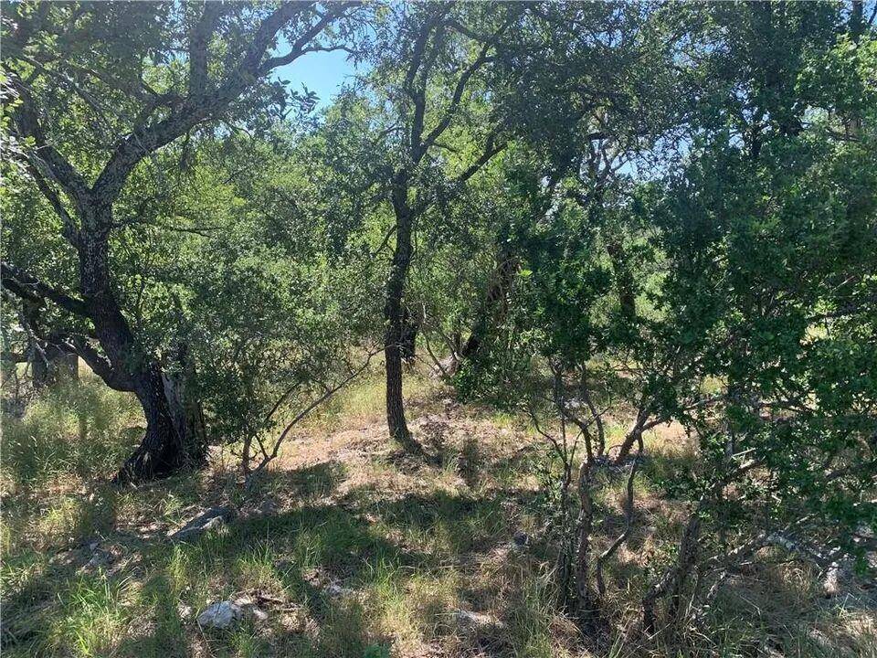 702 Deep Shadows DR, Horseshoe Bay, TX 78657