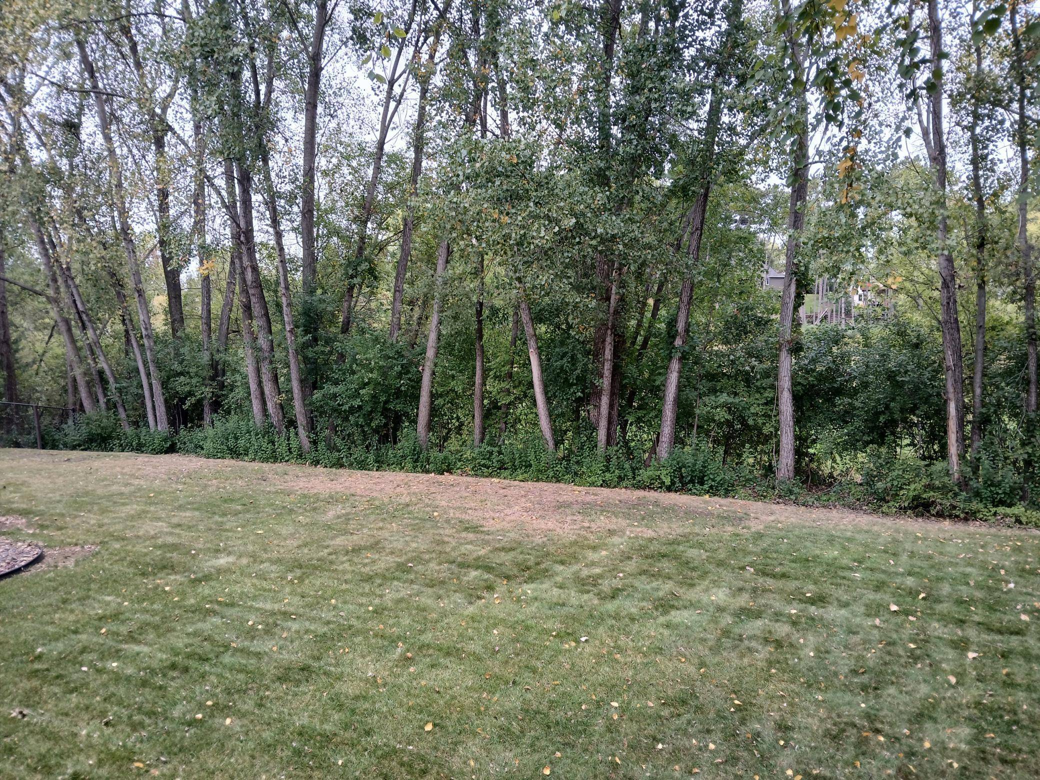 9040 Parkside DR, Woodbury, MN 55125