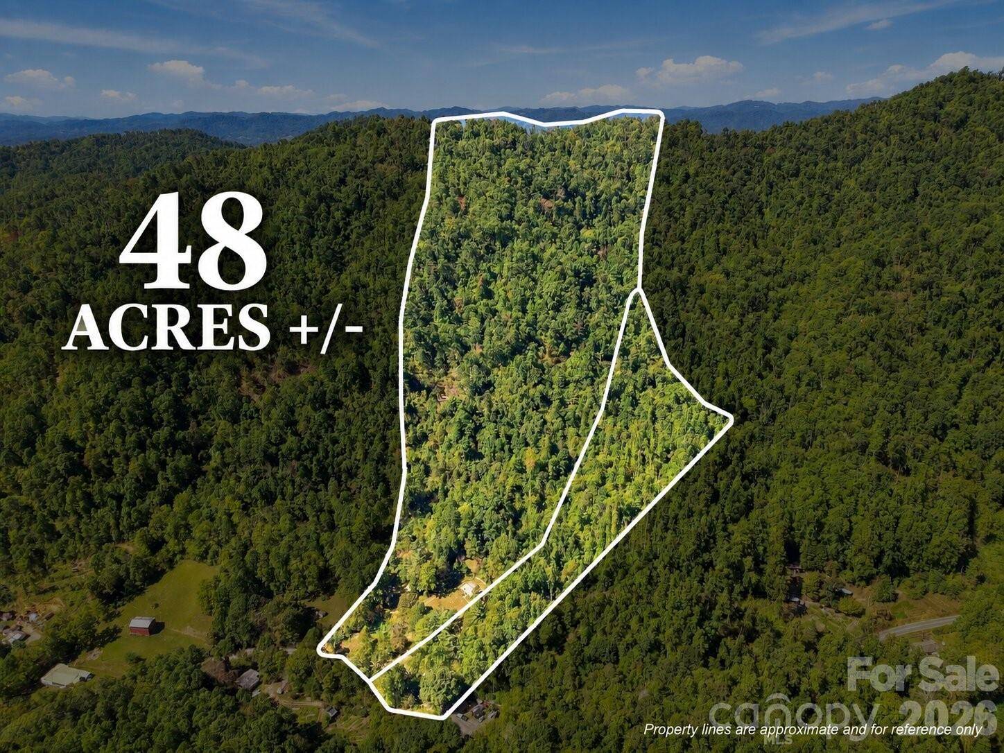 360 Poverty Branch RD, Barnardsville, NC 28709