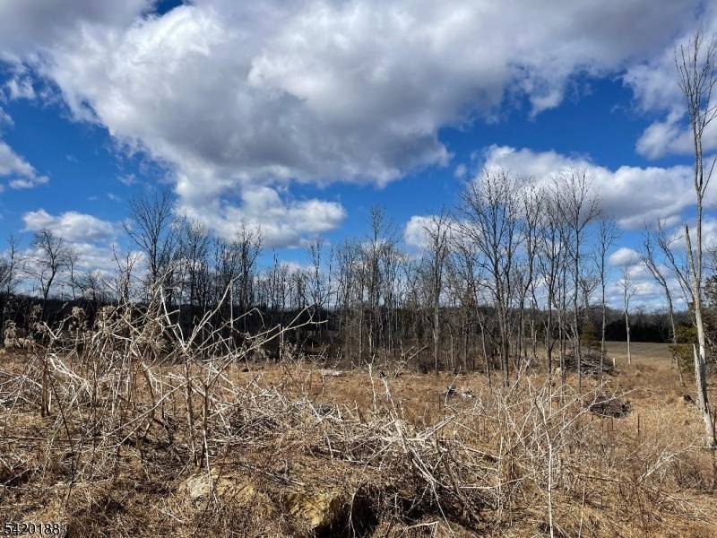 83 Creek Rd, Green Twp., NJ 07821