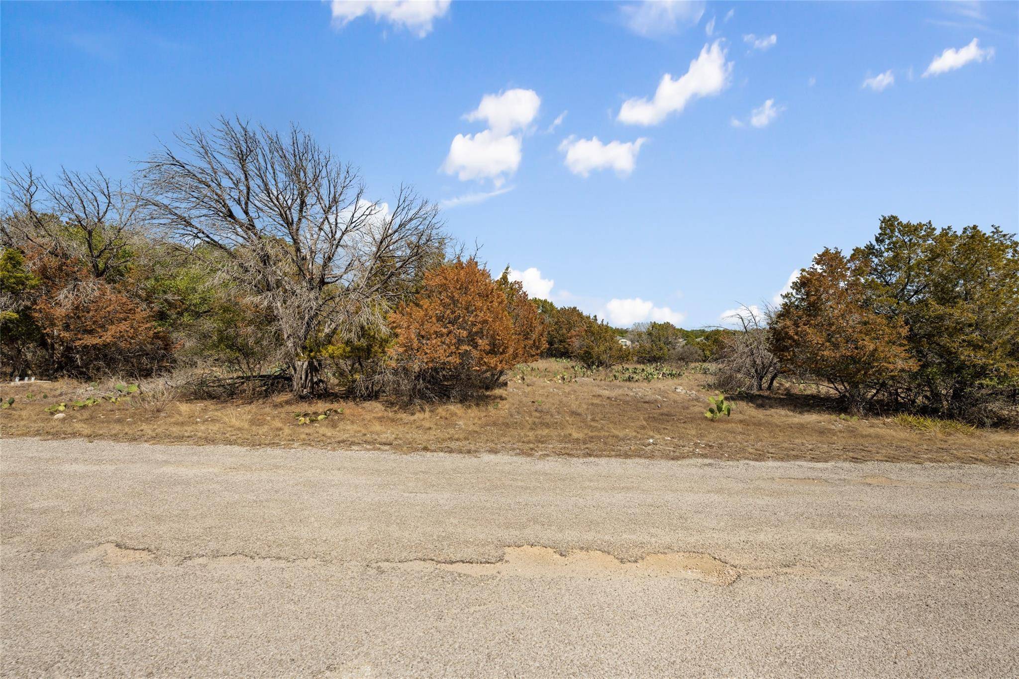21606 Cardinal Ave, Lago Vista, TX 78645