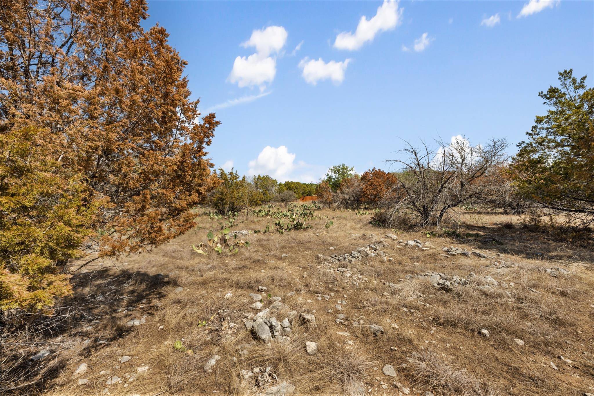 21606 Cardinal Ave, Lago Vista, TX 78645
