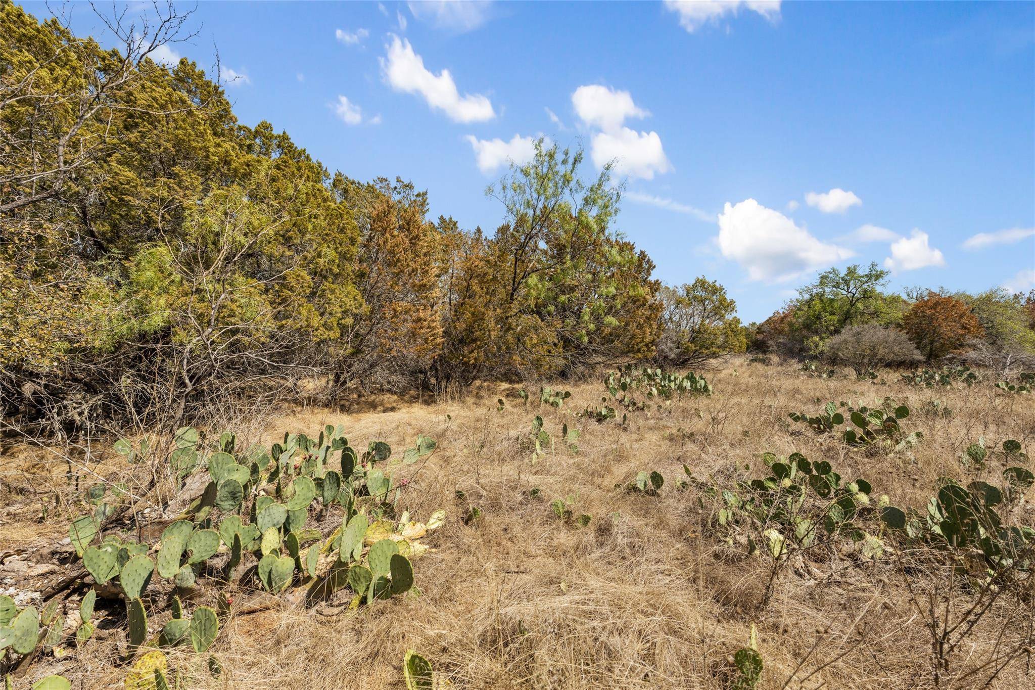 21606 Cardinal Ave, Lago Vista, TX 78645