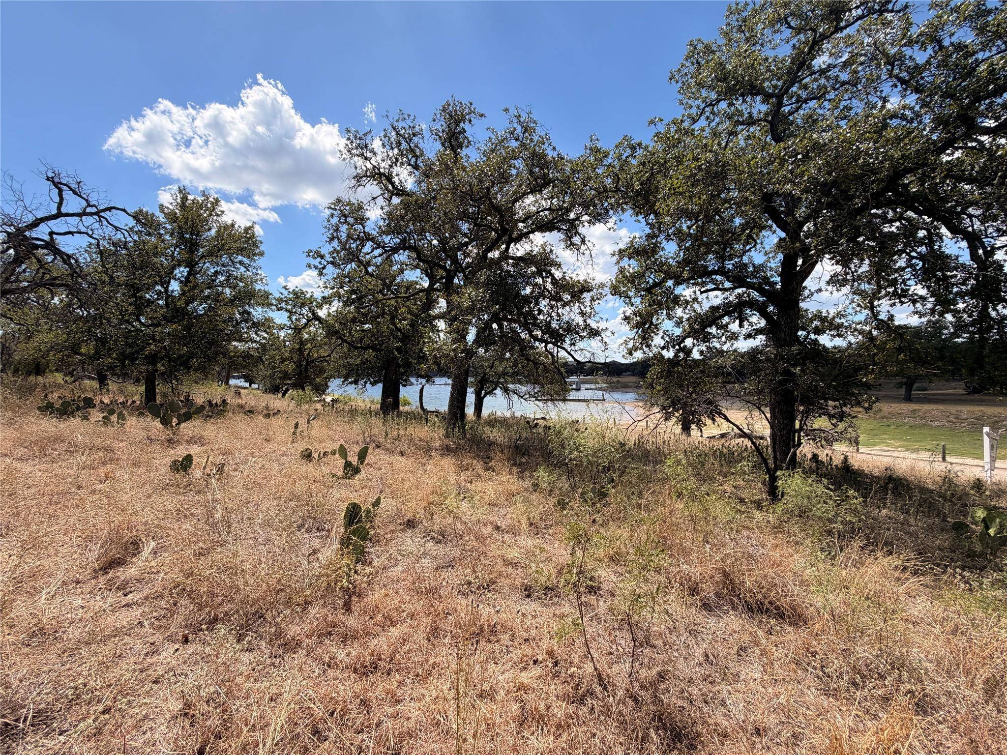 1401 Emerald RD, Lago Vista, TX 78645