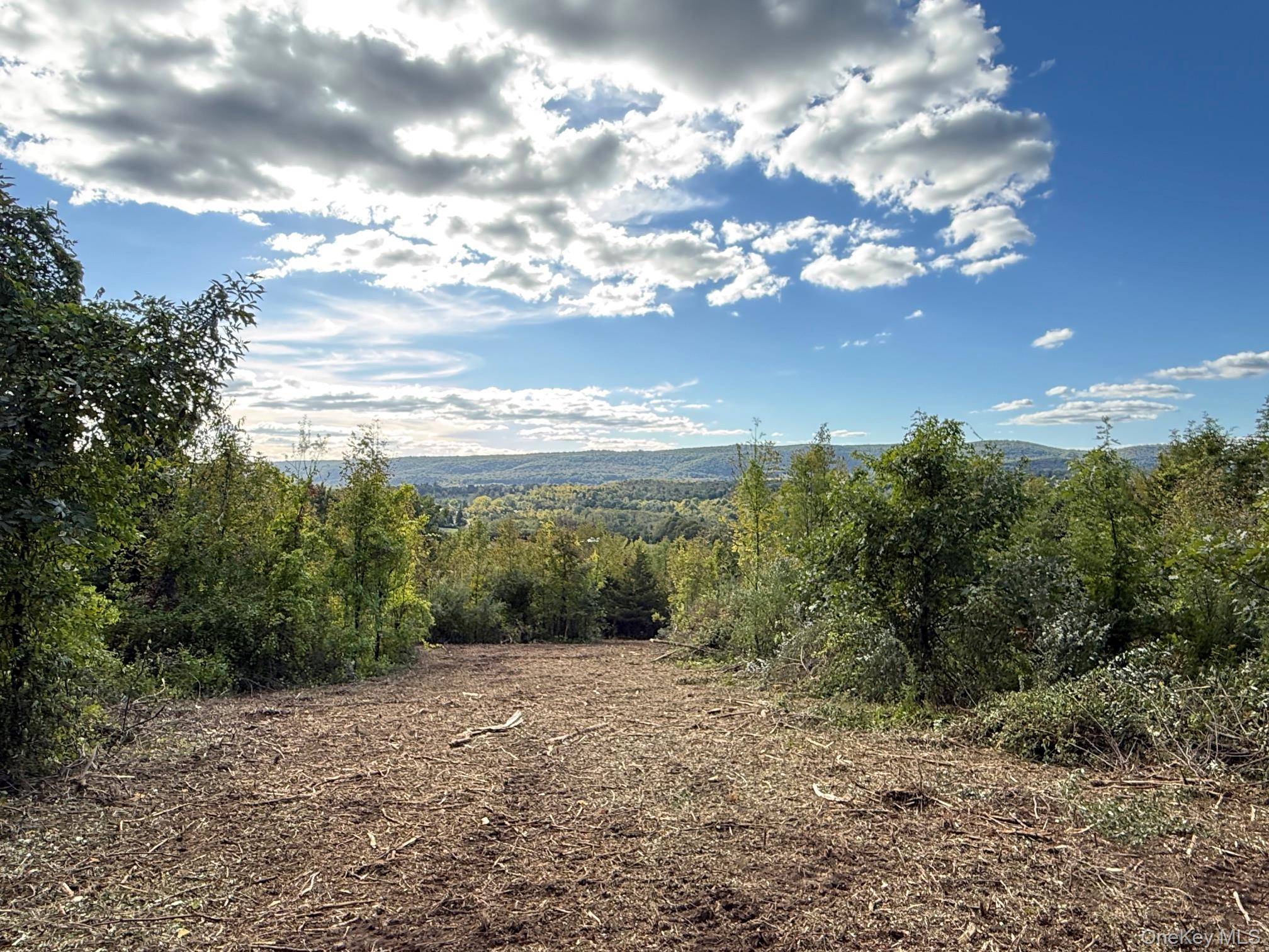Lot # 11 Westerly Ridge DR, Amenia, NY 12501