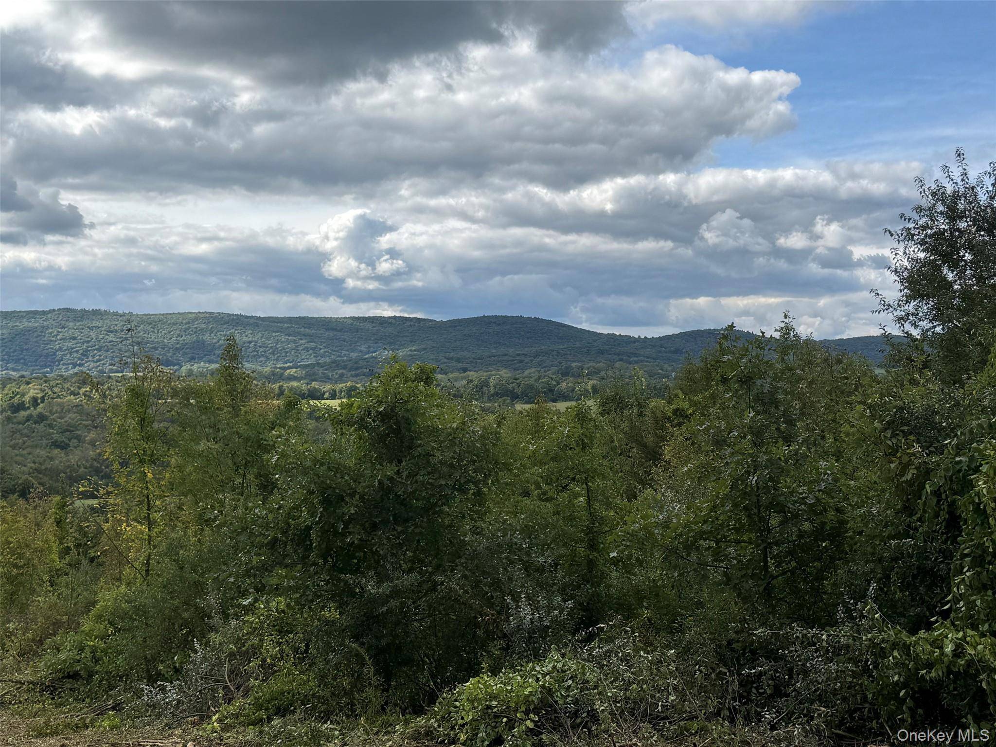 Lot # 11 Westerly Ridge DR, Amenia, NY 12501